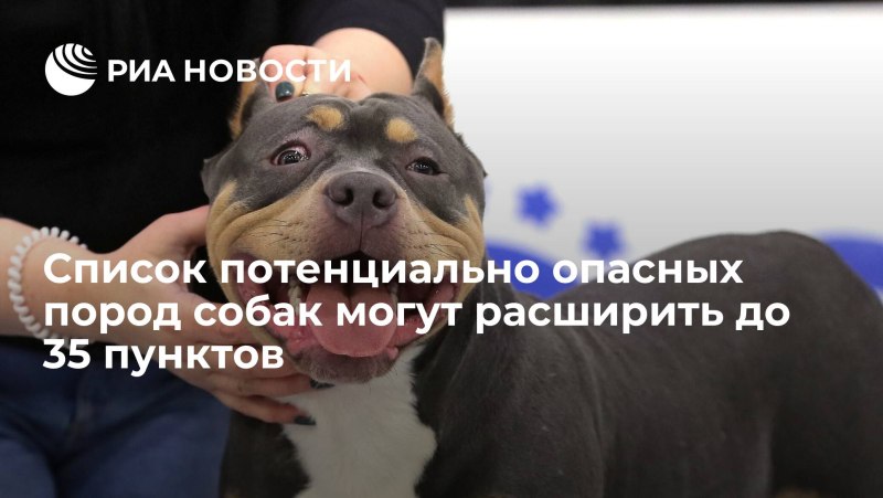 Список опасных пород собак в России 2020