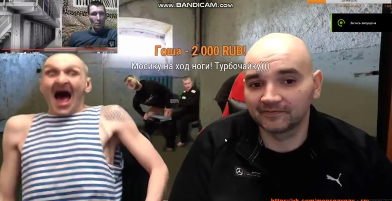 Мопс дядя пес в шлеме