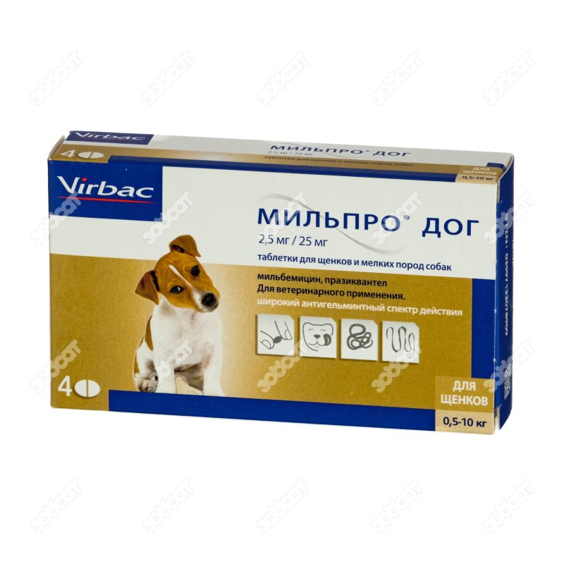All Dogs корм сухой для щенков