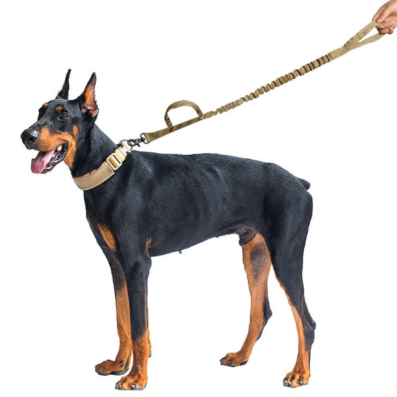 Ошейники Collar для Мопсс