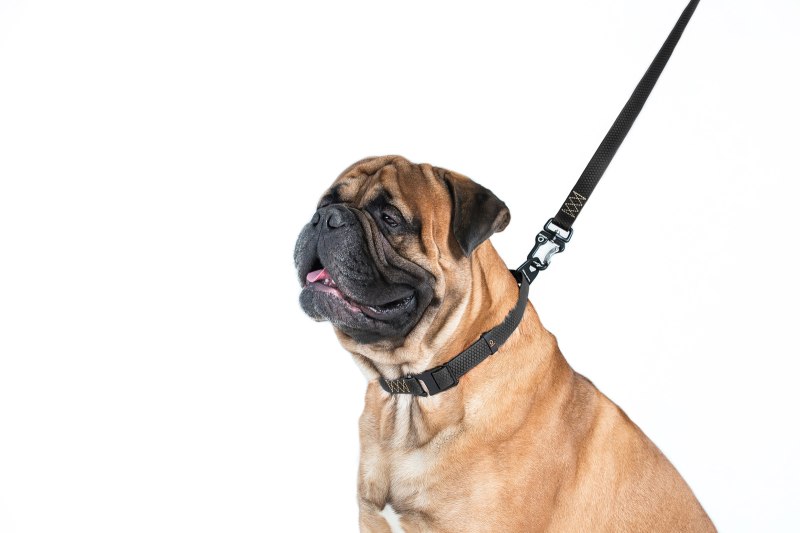 Поводок " Dog extreme" нейлон с прор. Ручкой 1,22 м. красн.