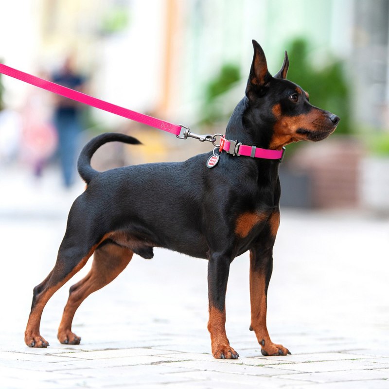 Шлейка Collar XS