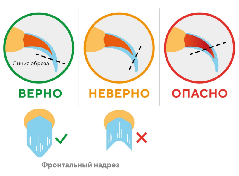 Стрижка когтей