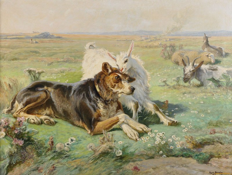 Бременские зенненхунд