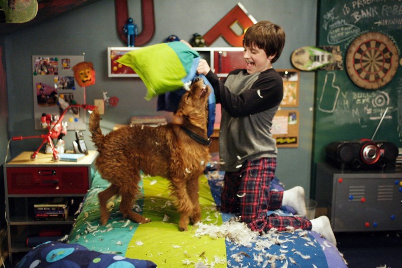 Think like a Dog фильм 2020