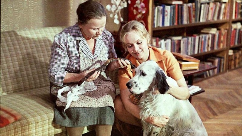 Far from Home: the Adventures of Yellow Dog, 1995