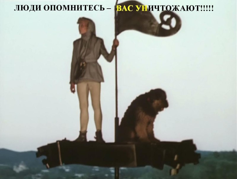 Вельштерьер черный