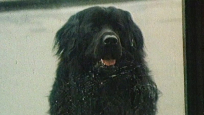 Приключения электроника (1979)