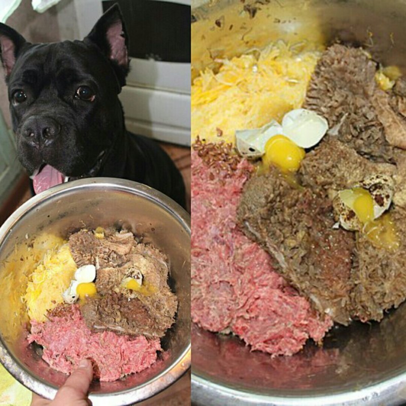 Щенок овчарки с мамой