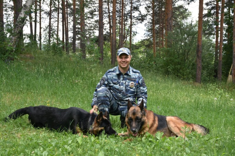 Училище на кинолога в Белгородской области