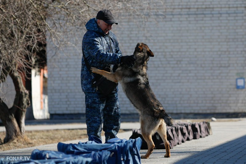 Кинологи УВД Сергиев Посад