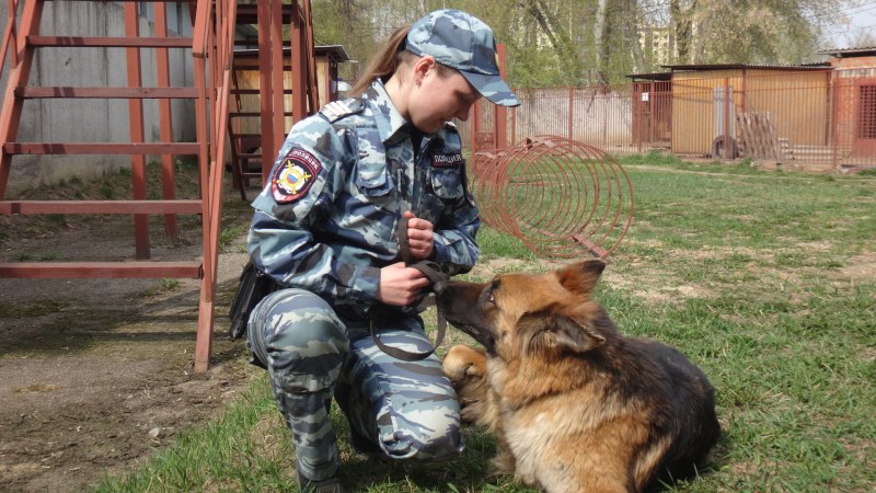 Кинолог в кино
