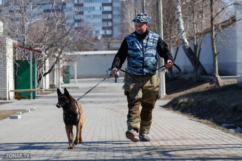Василий Синицкий кинолог