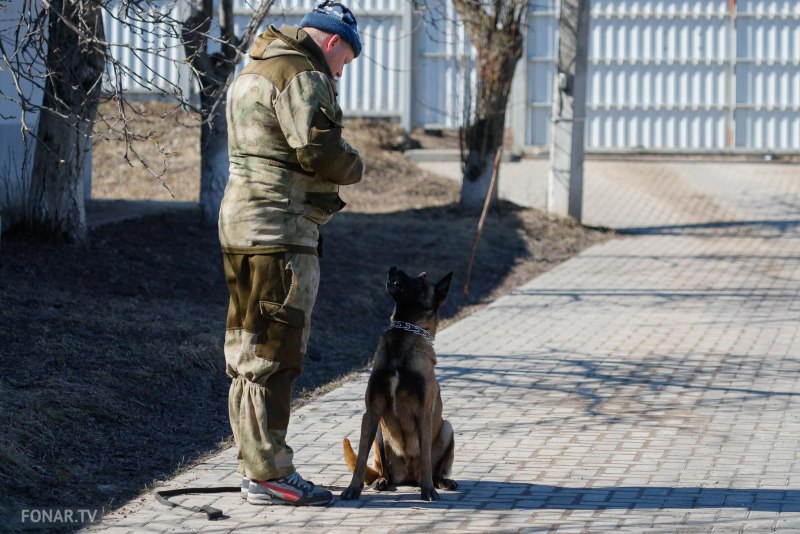 Кинолог Белгород обучение