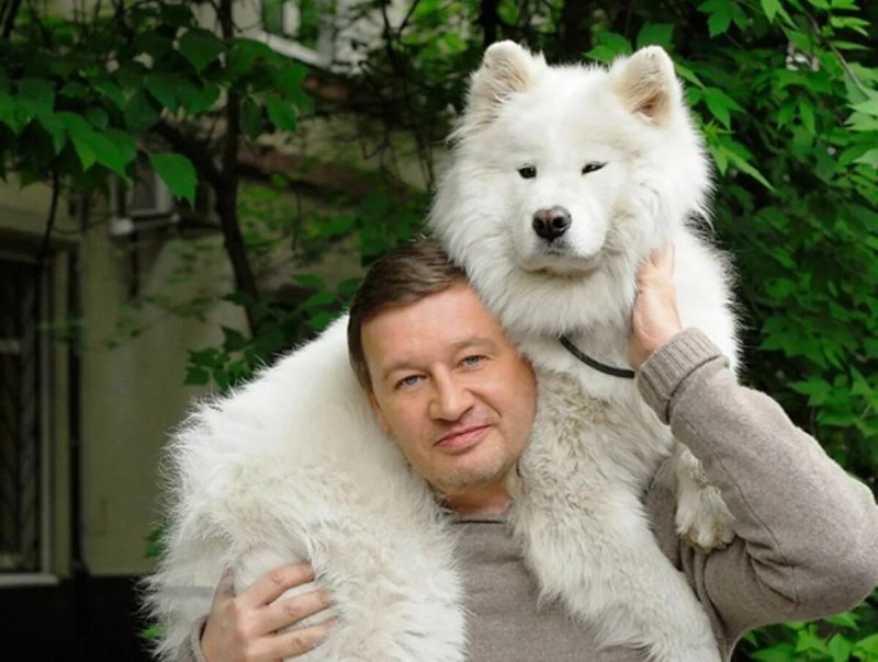 Самоеды у знаменитостей