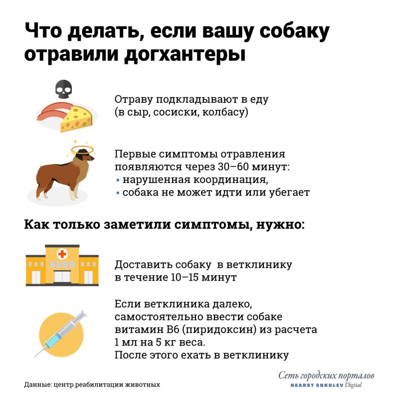 Грустный ветеринар