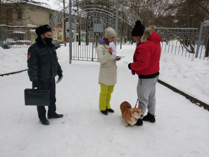 Площадка для собак