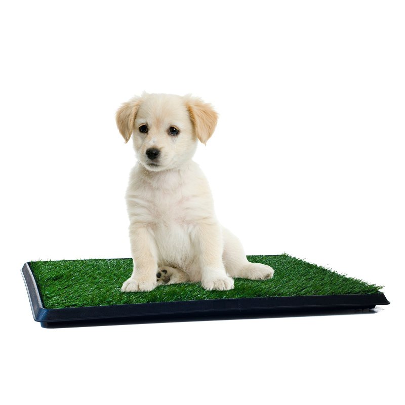 Туалет для собак Pet Potty