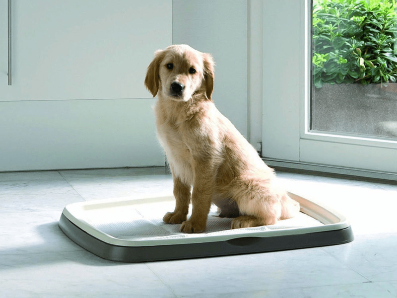 Туалет для щенков Savic Puppy Trainer XL 94.5Х64.5х4 см