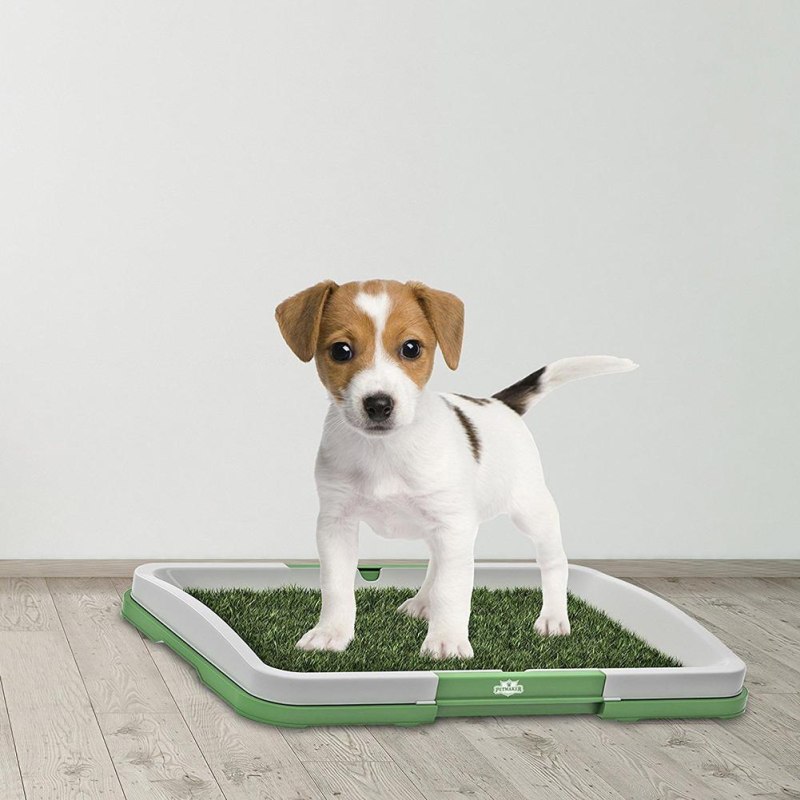 Тренажер Puppy Potty