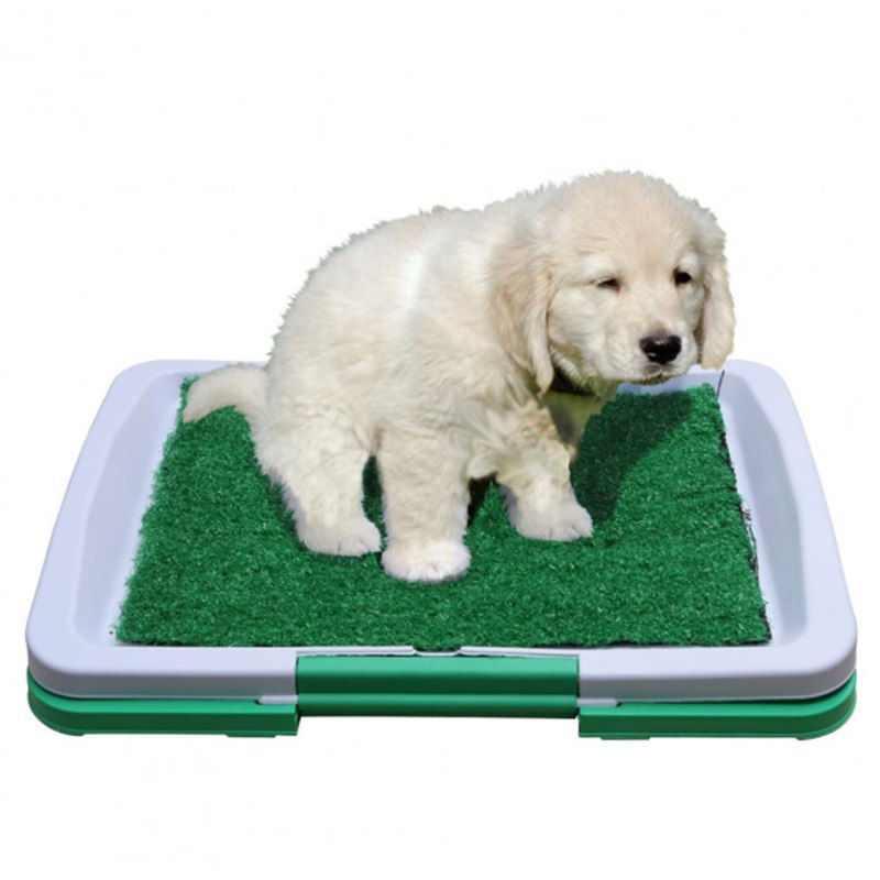 Тренажер Puppy Potty