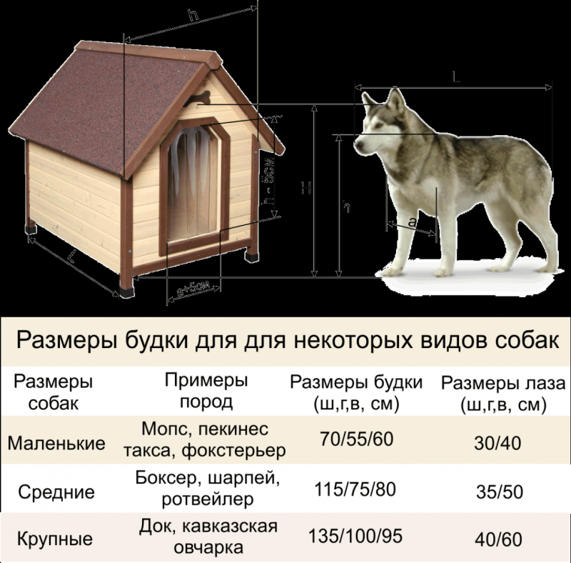 Размеры будки для немецкой овчарки