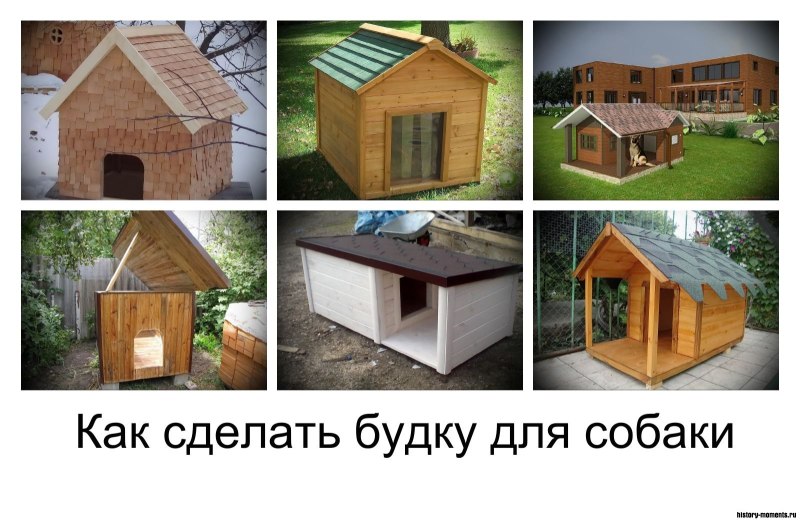 Будка для собаки своими руками чертежи