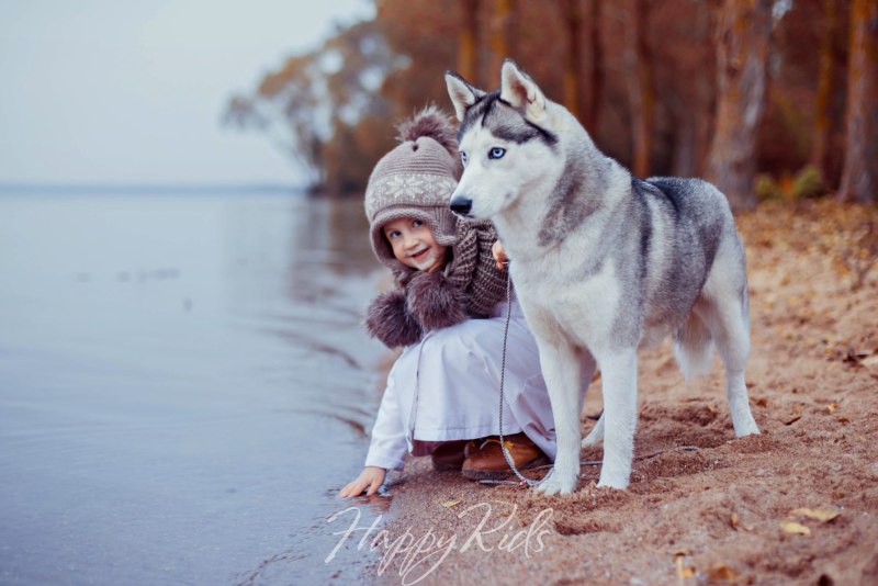 Фотосессия с хаски