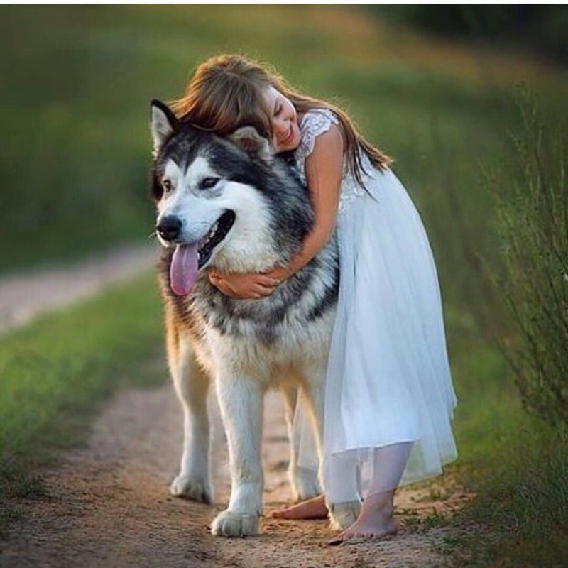 Fat Husky Kids
