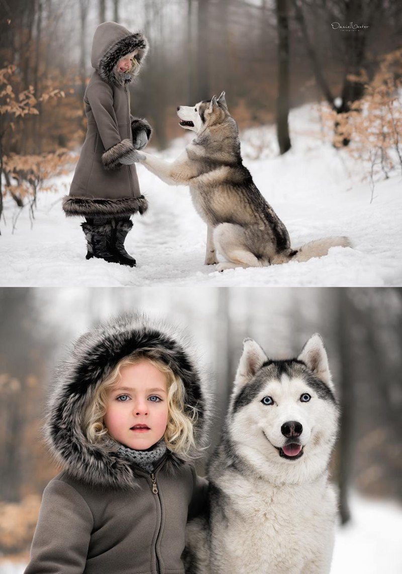 Зимняя фотосессия с хаски