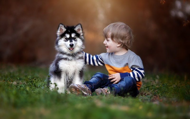 Для детей. Животные