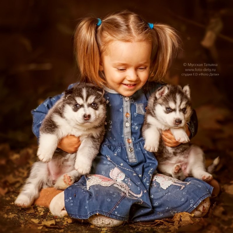 Фотосессия щенков