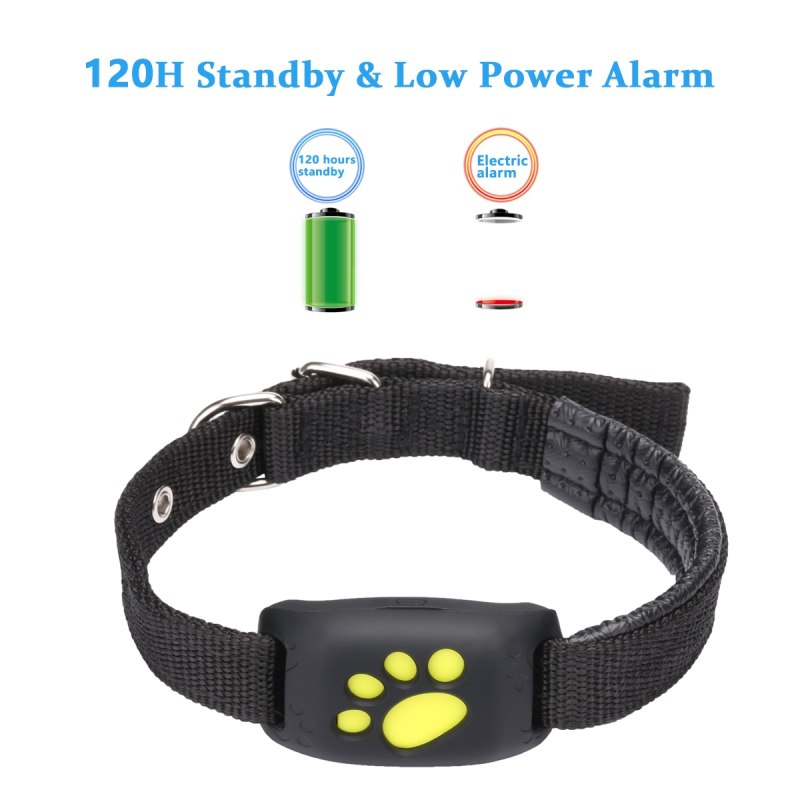 GPS ошейник Mini Pet ip67