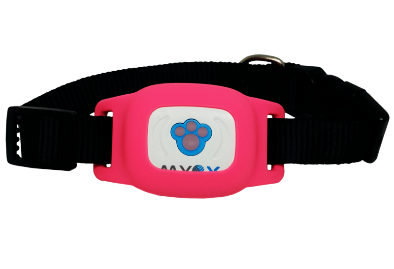 GPS ошейники Navixy x - Pet 3