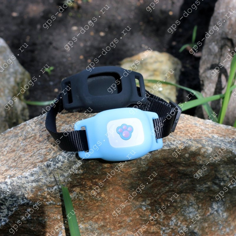 Трекер ошейник GPS Pet Tracker d79
