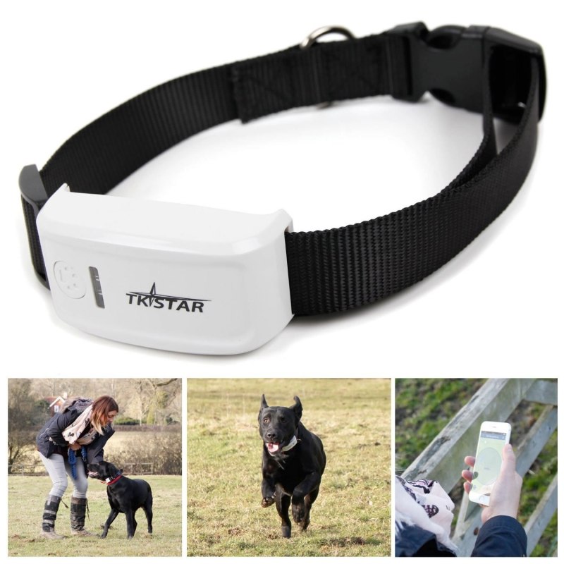 Ошейник Smart Pet Tracker