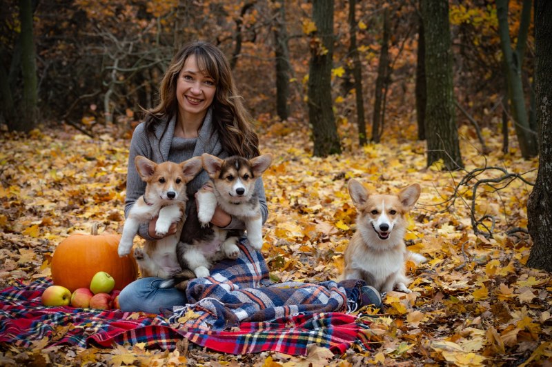 Фотосессия с корги на природе