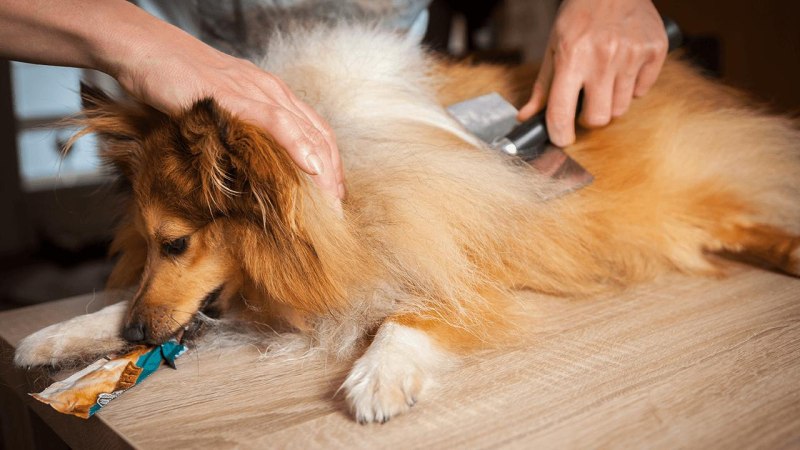 Фурминатор Deshedding Tool