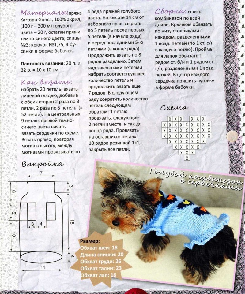 Кофточка для собаки спицами