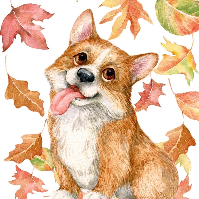 Корги осень рисунок