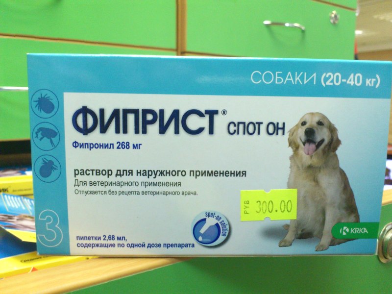 Строение пищеварительной системы собаки