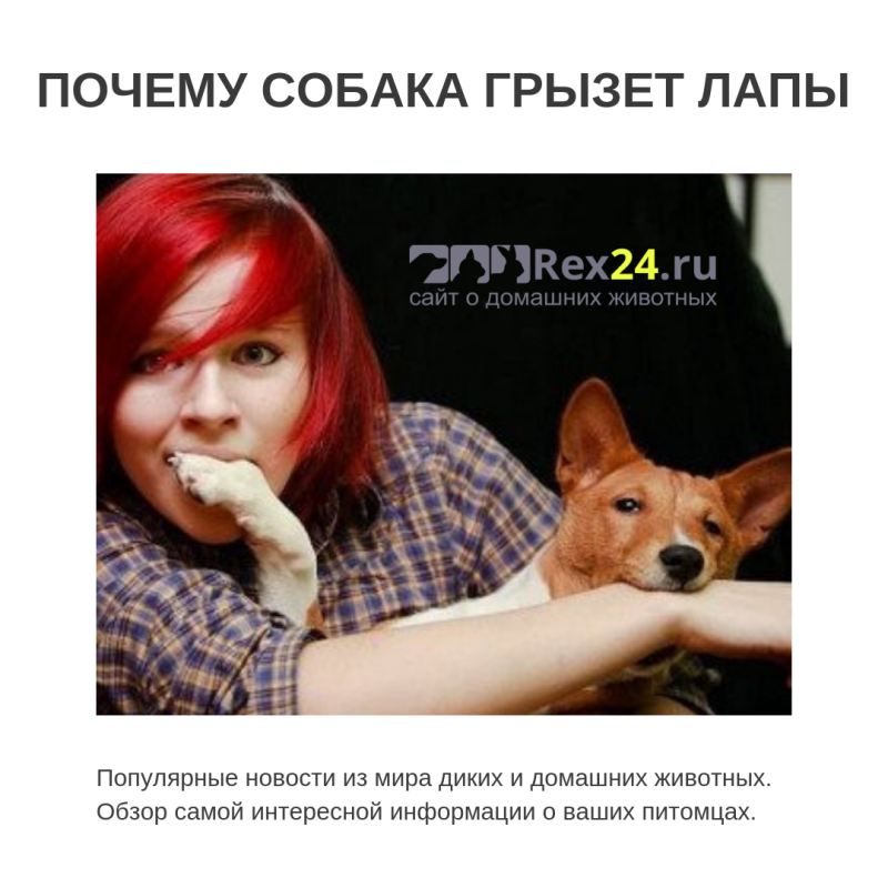 Почему собака грызет лапы