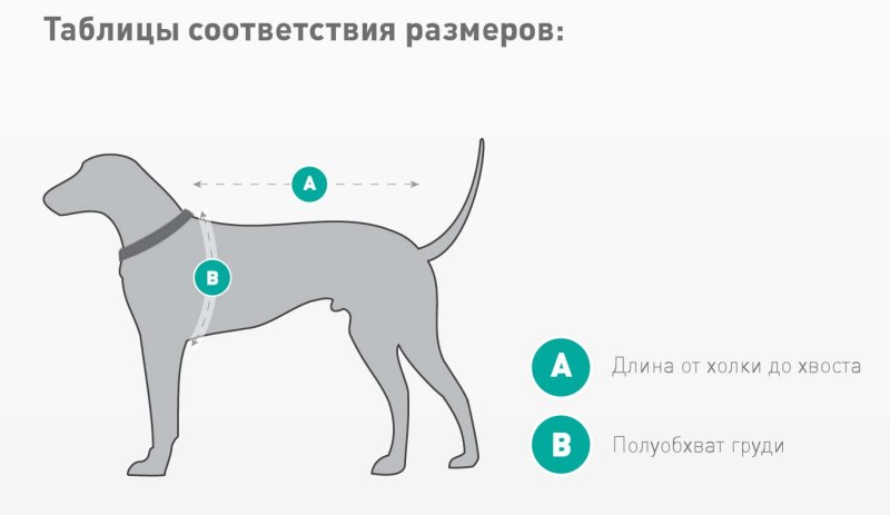 Холка у собаки где находится