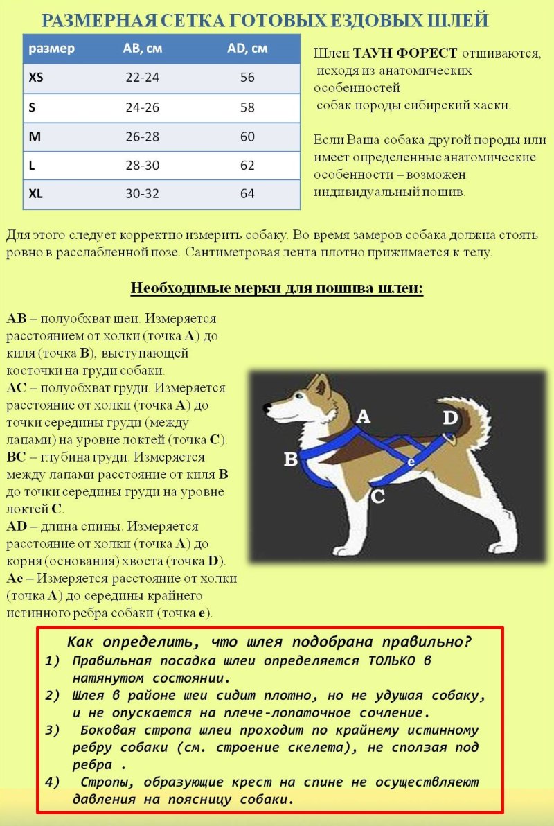 Размер собаки в холке
