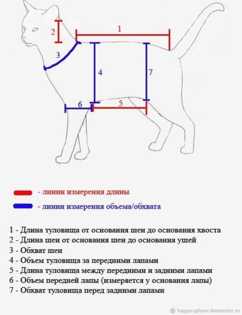 Попона для кошки выкройка с размерами