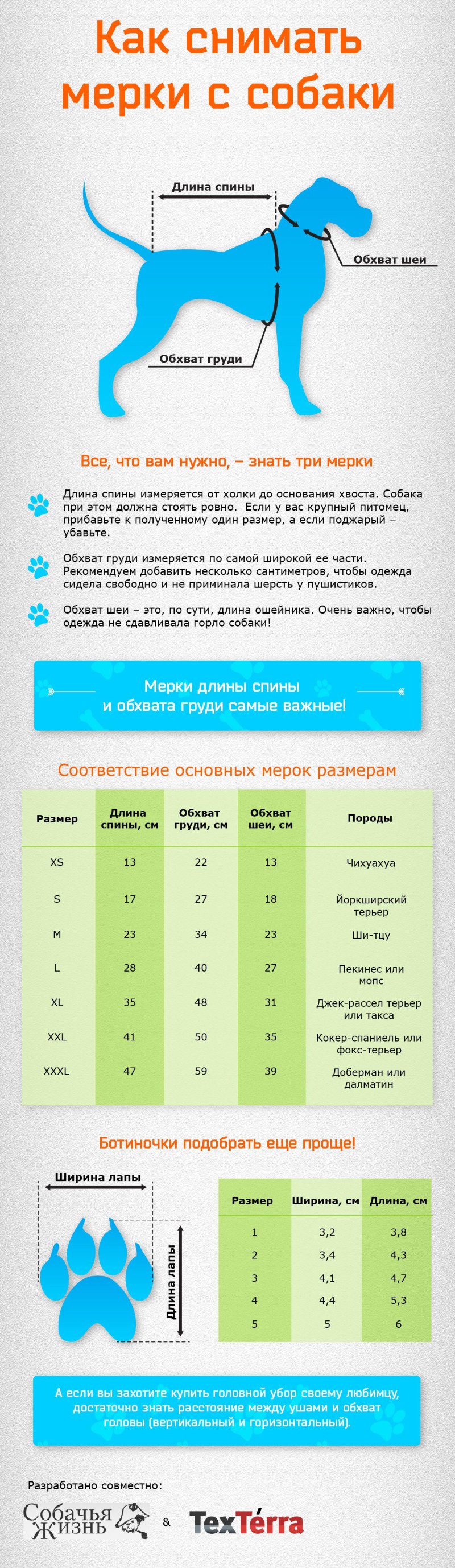 Таблица одежды для собак