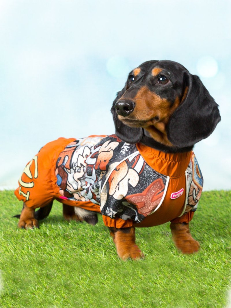 Дождевик FORMYDOGS для таксы тм2