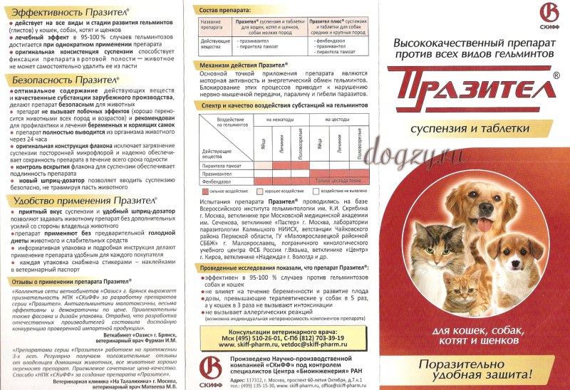 Dipylidium caninum цикл развития