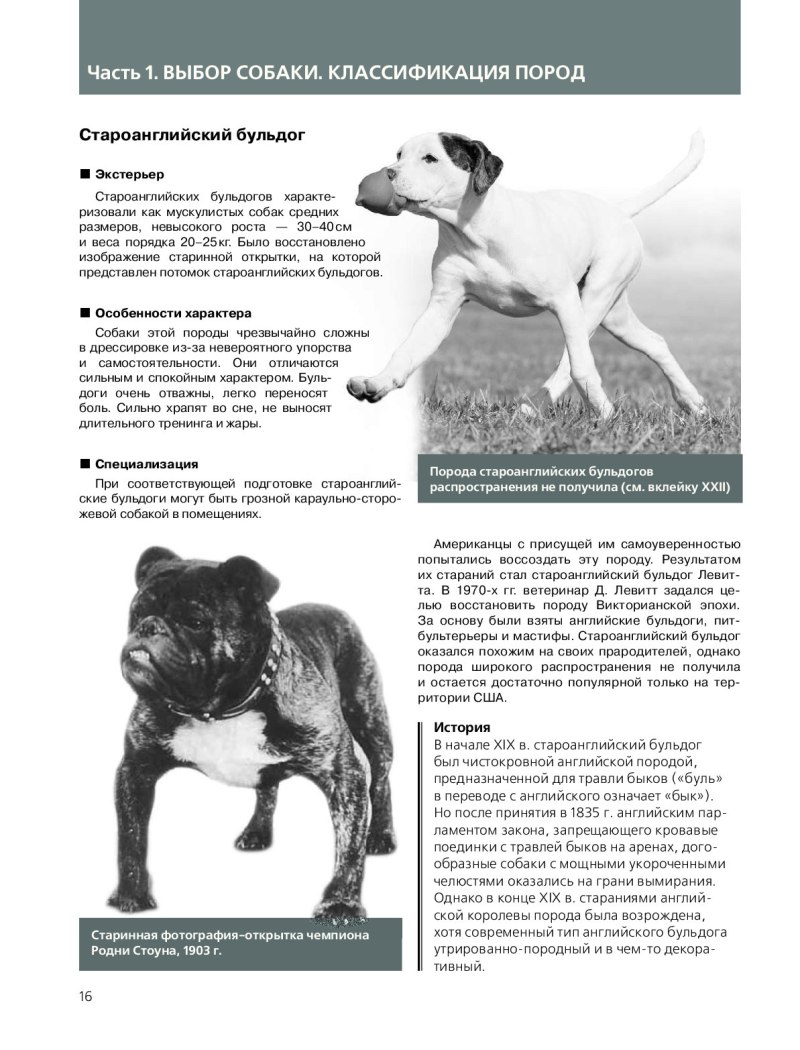Собаки самая полная энциклопедия