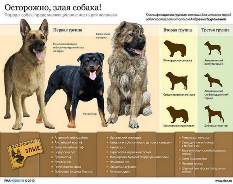 Перечень пород собак